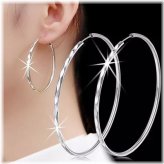 Silver Circle Elegance Earrings