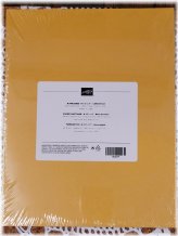 Sunshine Yellow Cardstock