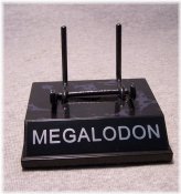 Ancient Shark Tooth Showcase