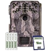 Wildlife Watcher Camera