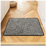 StepGuard Entry Mat