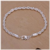 Silver Charm Bracelet Collection