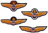 B5 Pilot Wings Patch Collection