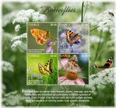 Fluttering Beauty Stamp Set - Sheet of 4 MNH Stamps from Tuvalu