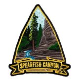 Carnival Curiosities