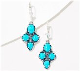 Turquoise Dream Lever Back Earrings