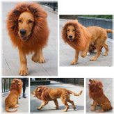 Lion's Pride Mane Wig for Large Dogs