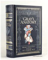 Anatomical Insights: A Deluxe Collectible Edition by Henry Gray