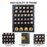 Guardian Display Case