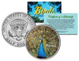 Colorized Peacock Half Dollar Coin