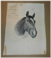 Heritage Sporting Elegance