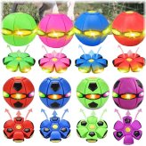 UFO Fetch Toy
