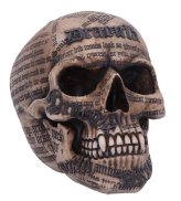 Transylvanian Relic Skull Sculpture