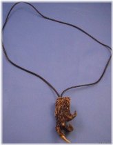 Swamp Treasures Claw Necklace