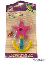 Avian Playtime Spinner