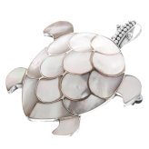 Sea Turtle Shell Brooch