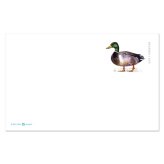 Mallard Stamp Card 2021