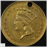 Indian Princess Gold Dollar - Holed