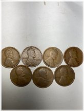 Pioneer Lincoln Wheat Penny Set