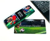 Silver Triceratops Mystery Wristband with Collectible Card