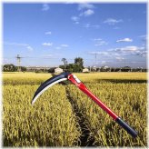 Foldable Harvesting Knife