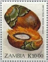 Zambia Fruits and Flora Stamp Collection