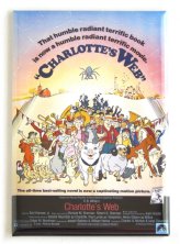 Silver Screen Fridge Magnet