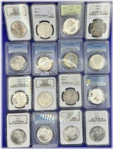 Pure Silver Morgan Collection