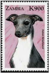 Zambian Canine Collection