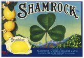 Placentia Lemon Crate Label - SHAMROCK Design