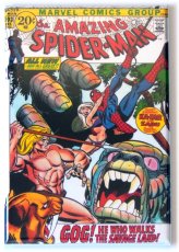 Marvelous Comic Book Fridge Magnet