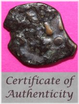 Judean Widow's Mite Coin Collection