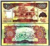 Somaliland 1000 Shilling Banknote - Year 2015