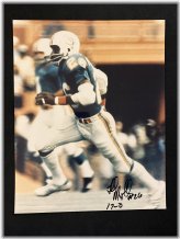 Perfect Season Memories