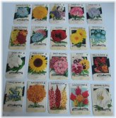 Vintage Lone Star Flower Seed Packets (1940s) - Set of 20 (Empty)