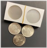 Silver Shield Coin Protectors