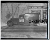 Blooms of Bridgeport Collection