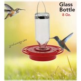 Glass Bottle Hummingbird Haven