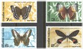 Butterfly Beauties of Thailand