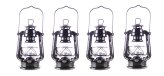 Midnight Glow Lantern Set