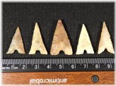 Antique Tidikelt Arrowheads Set