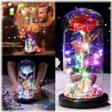 Blooms & Petals Collection