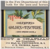 Golden Toothache Elixir