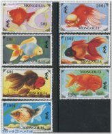 Golden Fish Collection
