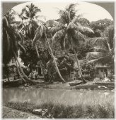 Canal of Martinique Stereoview