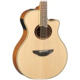 Natural 12-String Thinline Acoustic-Electric Guitar