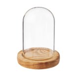 Nature's Showcase: Glass Dome with Wooden Base for Elegant Home Displays