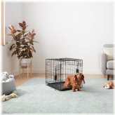 Black Dual-Door Wire Dog Kennel