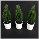 Festive Trio of Mini Potted Christmas Trees