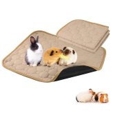 PawPad Absorbent Mat